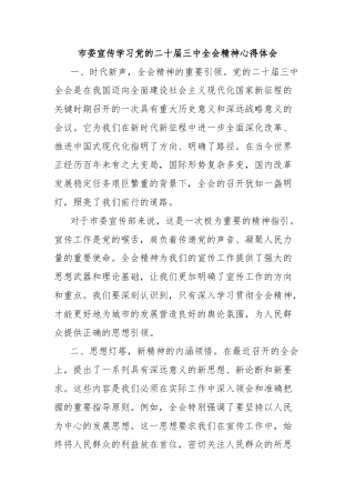 市委宣传学习党的二十届三中全会精神心得体会