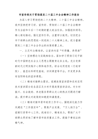 市宣传部关于贯彻落实二十届三中全会精神工作报告