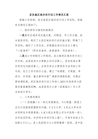 县实施区域共进行动工作情况汇报