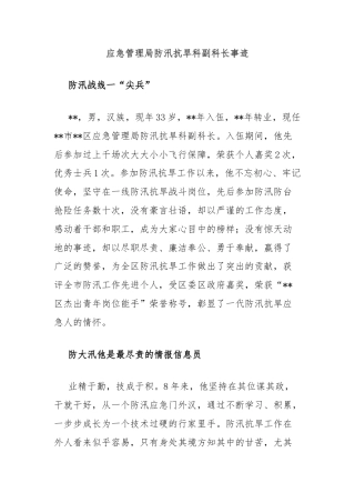 应急管理局防汛抗旱科副科长事迹