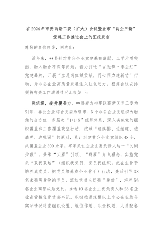 在2024年市委两新工委（扩大）会议暨全市“两企三新”党建工作推进会上的汇报发言