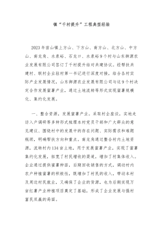 镇“千村提升”工程典型经验
