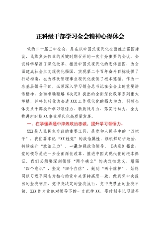 正科级干部学习全会精神心得体会