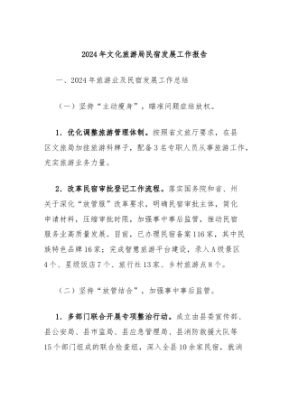 2024年文化旅游局民宿发展工作报告