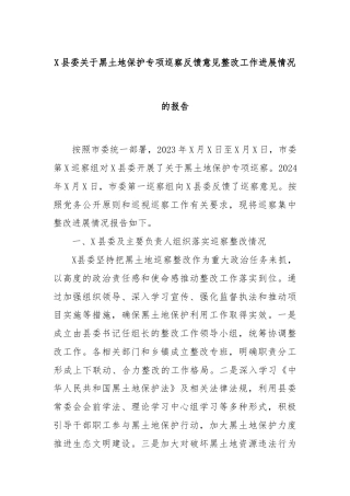 X县委关于黑土地保护专项巡察反馈意见整改工作进展情况的报告