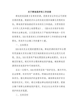 关于耕地保护的工作安排