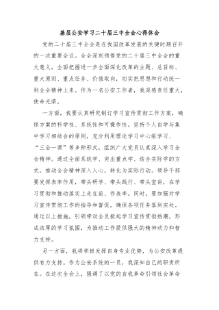 基层公安学习二十届三中全会心得体会