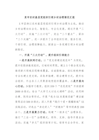 某市农村基层党组织引领乡村治理情况汇报
