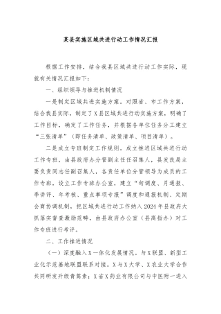 某县实施区域共进行动工作情况汇报
