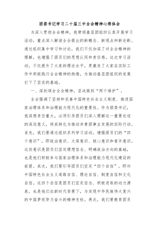 团委书记学习二十届三中全会精神心得体会