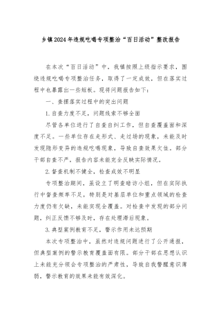 乡镇2024年违规吃喝专项整治“百日活动”整改报告