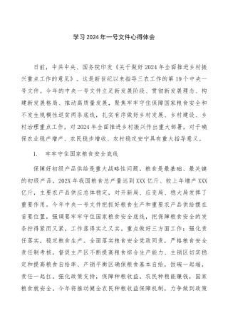 学习2024年一号文件心得体会