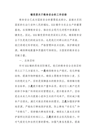 镇党委关于粮食安全的工作安排