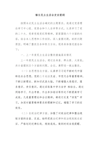 镇长民主生活会发言提纲