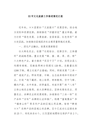 XX市文化旅游工作推进情况汇报