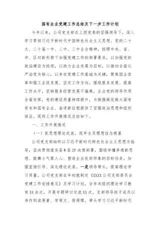 国有企业党建工作总结及下一步工作计划