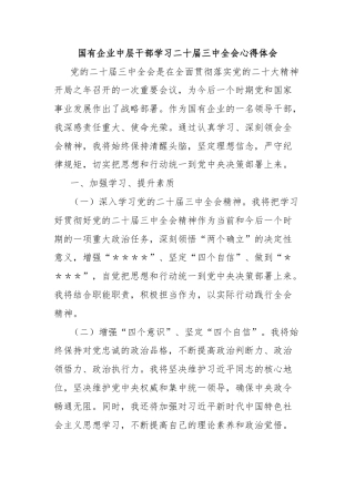 国有企业中层干部学习二十届三中全会心得体会