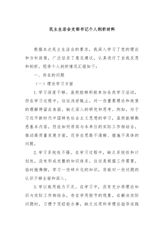 民主生活会支部书记个人剖析材料