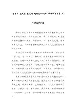 学思想 强党性 重实践 建新功——凝心铸魂筑牢根本 实干担当促发展