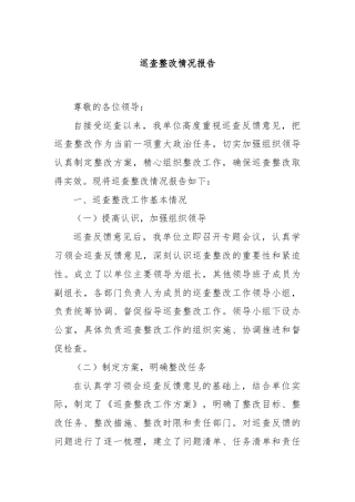 巡查整改情况报告