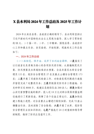 X县水利局2024年工作总结及2025年工作计划