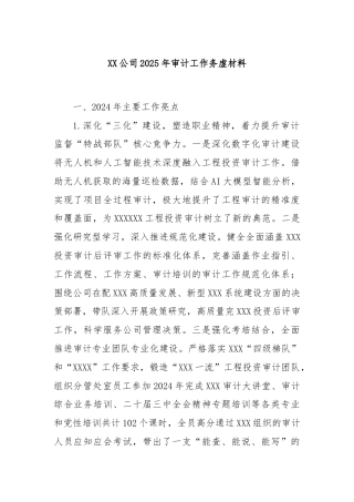 XX公司2025年审计工作务虚材料