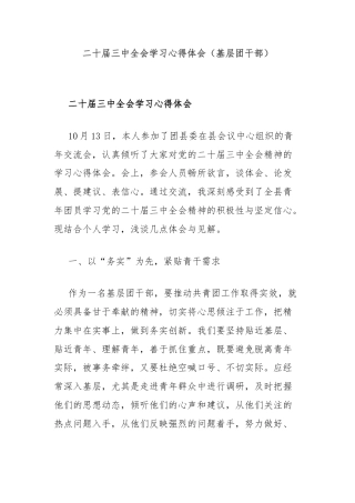 二十届三中全会学习心得体会（基层团干部）