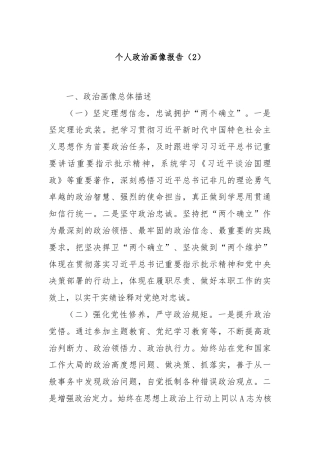 个人政治画像报告（2）