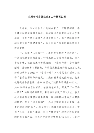 农村劳动力就业改革工作情况汇报