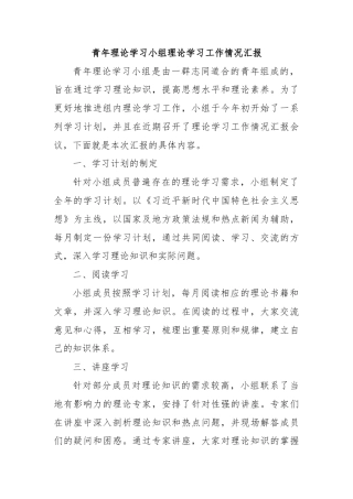 青年理论学习小组理论学习工作情况汇报