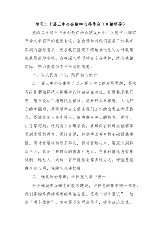 学习二十届三中全会精神心得体会（乡镇领导）