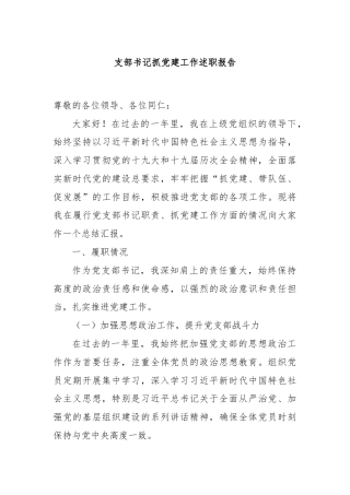 支部书记抓党建工作述职报告