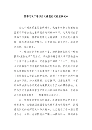 筑牢忠诚干净担当之基履行纪检监察使命‍