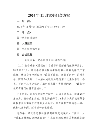 2024年11月党小组会方案