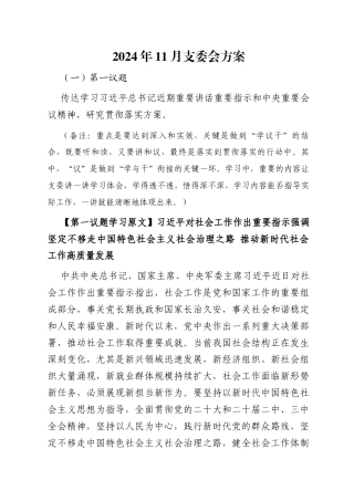 2024年11月支委会方案