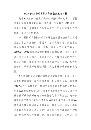 2025年XX公司审计工作务虚会发言材料