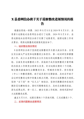 X县委网信办班子关于巡察整改进展情况的报告