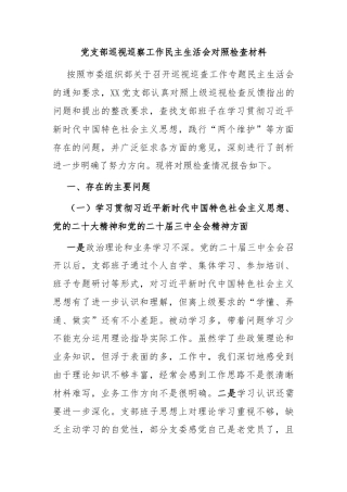 党支部巡视巡察工作民主生活会对照检查材料