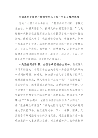 公司基层干部学习贯彻党的二十届三中全会精神感悟