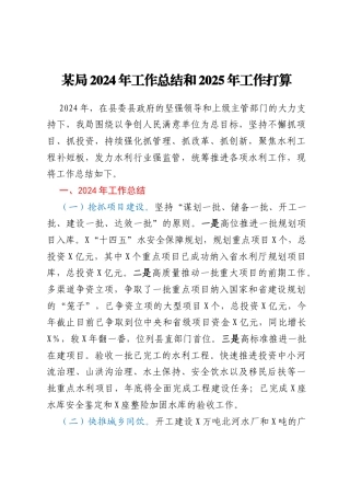 某局2024年工作总结和2025年工作打算