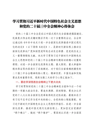 学习贯彻习近平新时代中国特色社会主义思想和党的二十届三中全会精神心得体会