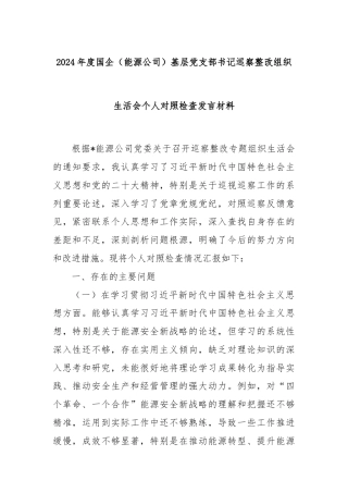2024年度国企（能源公司）基层党支部书记巡察整改组织生活会个人对照检查发言材料
