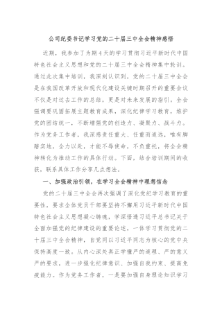 公司纪委书记学习党的二十届三中全会精神感悟