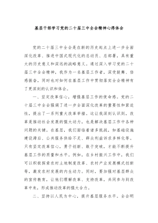 基层干部学习党的二十届三中全会精神心得体会