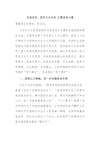 交流发言：坚定文化自信 汇聚奋进力量