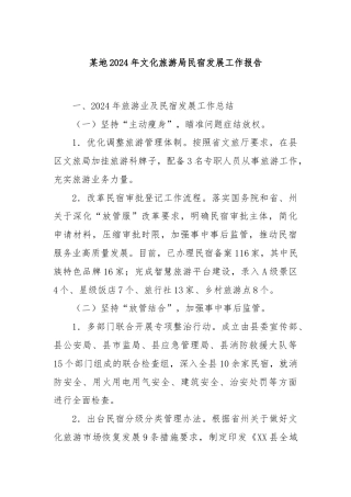 某地2024年文化旅游局民宿发展工作报告