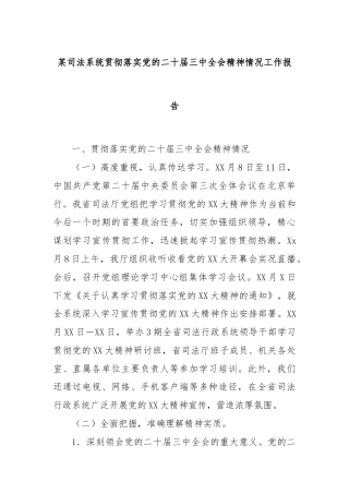 某司法系统贯彻落实党的二十届三中全会精神情况工作报告