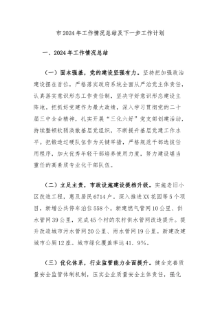 市2024年工作情况总结及下一步工作计划