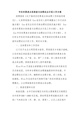 市农村黑臭水体排查与治理试点示范工作方案