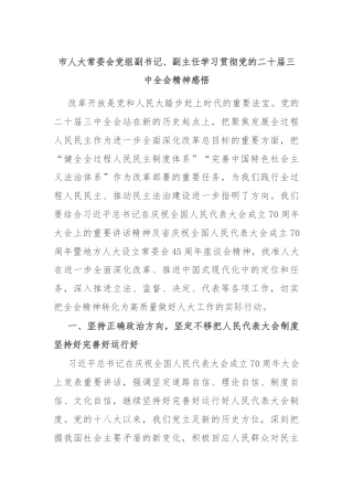 市人大常委会党组副书记、副主任学习贯彻党的二十届三中全会精神感悟